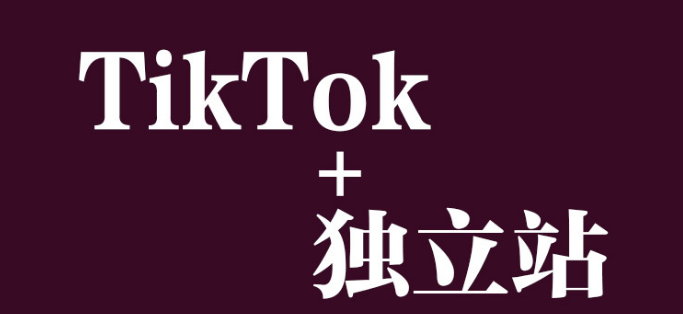 Tiktok跨境电商