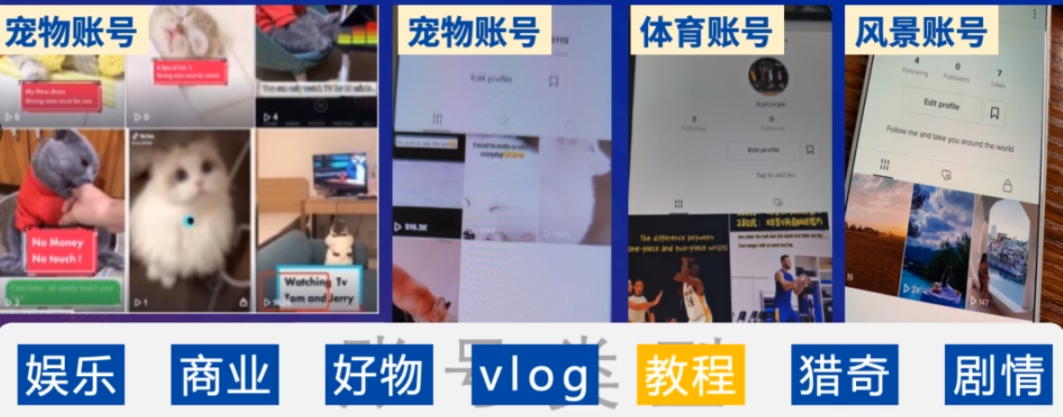 Tiktok跨境电商