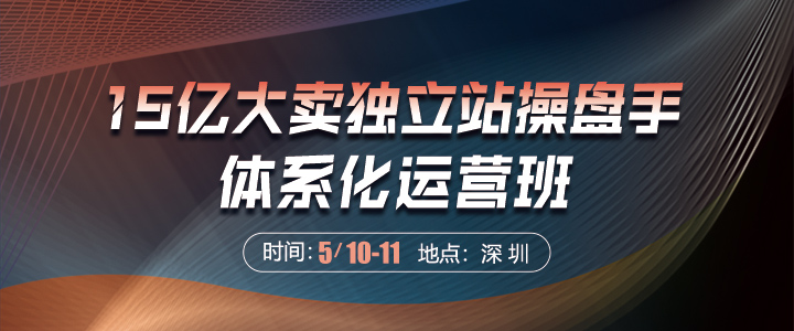 【线下课】15亿大卖独立站操盘手体系化运营班