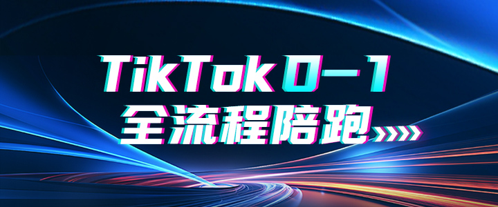【服务】TikTok 从0-1全流程陪跑